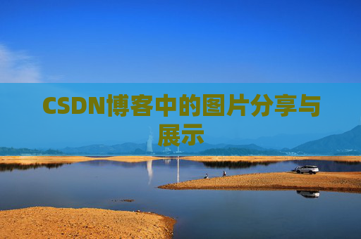 CSDN博客中的图片分享与展示